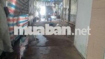 Cho thuê mặt bắng kinh danh an phú đông  quận 12