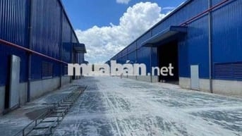 GIỚI THIỆU:   NHÀ XƯỞNG CHO THUÊ TẠI NAM TÂN UYÊN - BÌNH DƯƠNG