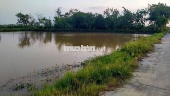 Bán đất mặt tiền thôn nhị khê,hoàng long,Phú Xuyên