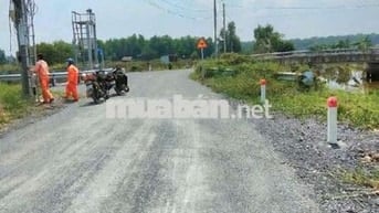 Bán đất ngang 37M dài 150M ( TDT 5580M2)