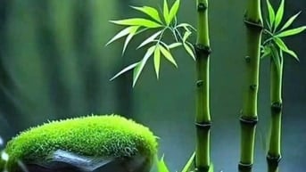Cần bán gấp trong tuần nhà mặt tiền Nguyễn Phúc Chu  Phường 15 Tân Bìn