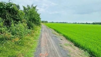 Chính chủ bán đất mặt tiền 83m Rạch Dung, Mỹ Khánh, Long Xuyên 5.040m2