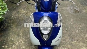 elite 50 dk 2019 bstp 9 chủ