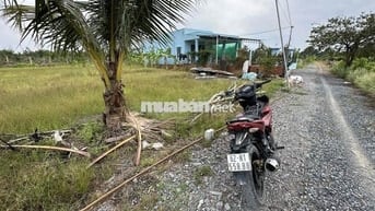 🌈🌈 500m có sẵn 180m thổ - ấp 1, Bình Đức, nhựa 816 vào 500m