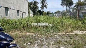 Bán gấp lô đất 509m2 , 1/ tỉnh lộ 9, đường xe tải thông