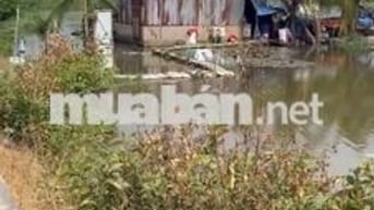 cần bán 4 hecta đất dự án chợ Bình Điền