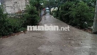 200m² Đất sổ hồng riêng, tặng thêm 100m,HXH tận cửa, Tân Hiệp Hóc Môn