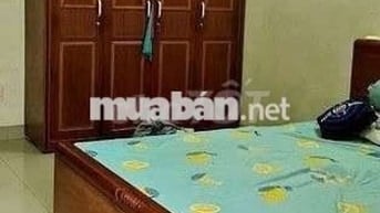 Cho Thuê Nhà 5PN 7WC Phú Thuận Q7