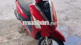 Acruzo fi zin bstp chứng giấy