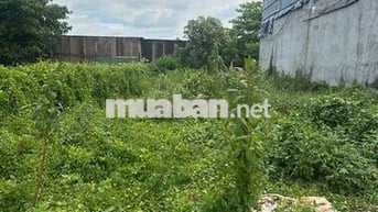Cách trường THCS Tân Trụ 500m, sổ sẳn bán lỗ thu vốn 490tr , 140m2 .