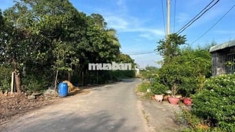 BÁN ĐẤT: 224m2 thổ cư đường Lộc Khê - TT Trảng Bàng - SHR