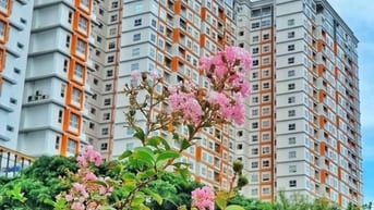 Dragon  Hill 2- 51,5m2 2pn 1wc, full NT mới, SHR. View Đông Nam (mát)