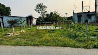 Bán nhanh lô đất mặt tiền Đ. nhựa Trần Văn Chẩm -Củ Chi. DT 87m2,SHR