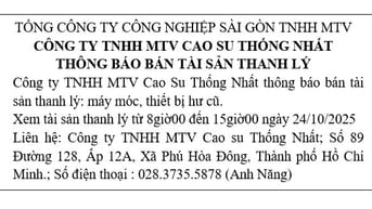 THÔNG BÁO BÁN TÀI SẢN THANH LÝ