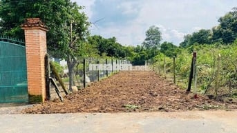 Đất mặt tiền đường nhựa 488- Phú Hòa Đông: 278m2-101m2 Thổ cư-1 tỷ 300