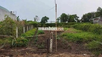 Đất Tân An nhánh Huỳnh Thị Hiếu đường bê tông 4m.nở hậu 13,9m