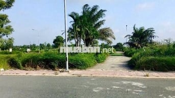 Bán đất cực đẹp trung tâm Đức Hòa - Sổ hồng riêng full thổ cư 100%!