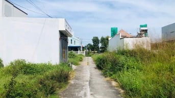4,5x25(114m2) Full Thổ Cư, Hẻm Nguyễn Trãi, Bình Tân, LaGi  950 Triệu