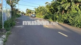 🔥 MẶT TIỀN ĐƯỜNG A5 (10x25M)– BUÔN MA THUỘT, BAO KHU VỰC🔥