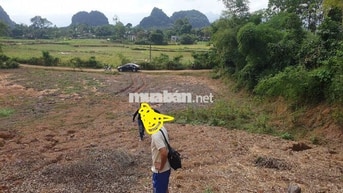 1186 m2 đất ở Biệt thự vườn tựa sơn hướng thủy, view siêu đep