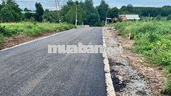 Bán đất thổ cư TpHCM 250m2 có 100tc