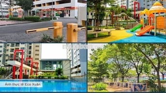 Chính chủ cần bán căn hô 3 phòng ngủ 86m2 chung cư Eco Xuân