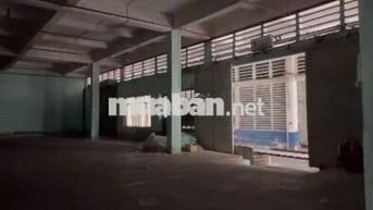 Kho đẹp cần cho thuê gấp diện tích 500m2 ở Đường Nguyễn Tất Thành