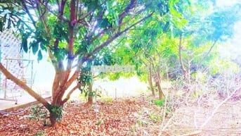 Đất 2300m2 cần bán nhanh tặng nhà cấp 4