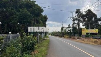 ĐẤT NGỘP CẦN BÁN GẤP TẠI PHƯỜNG BÌNH LỘC (LONG KHÁNH)