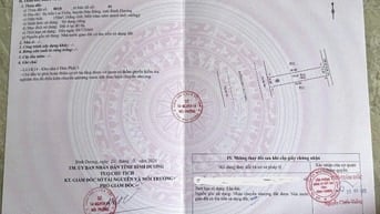 Bán Đất Nền Dự Án Đức Phát 3 Bàu Bàng - Đại Lộ Bình Dương