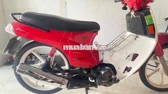 Xe máy đã làm loại ngoài hình