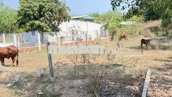 Đất thổ cư 287m2 xã đồng khởi châu thành tây ninh