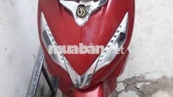 Bán xe shark zin