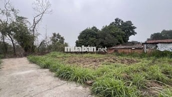 💥💥💥ĐẤT THÁI LAI, KIM ANH- GIÁ ĐẦU TƯ - OTO TRÁNH - KHU DÂN CƯ 💥💥