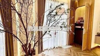 PHÂN LÔ TRẦN QUANG DIỆU ĐỐNG ĐA -Ô TÔ TRÁNH -KD 50M-6 TẦNG