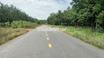 Sang nhanh lô mặt tiền DH519 414m2 giá rẻ, công chứng ngay