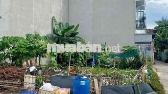 BÁN ĐẤT THỔ CƯ – Ô TÔ TỚI NƠI – LINH XUÂN THỦ ĐỨC, SỔ RIÊNG