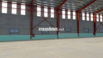 CHO THUÊ XƯỞNG SẢN XUẤT 2500M2 – NHẬN NGÀNH Ó KEO,NHỰA BĂM CƠ KHÍ NHẸ