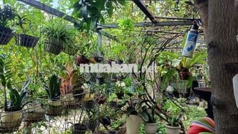 Đất thổ cư hẻm xe hơi ngay sát chợ Hóc Môn, 5m x 20m, 3.5 tỷ