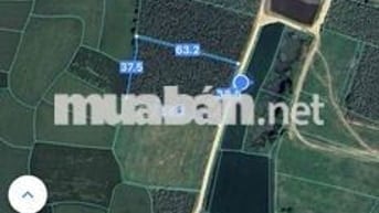 bán nhanh lô đất vườn diện tích 2270m giá chỉ 1tỷ250