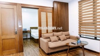 (Giảm giá) Cho thuê căn hộ 1K1N, 40m2, KV Đào Tấn, từ 10tr