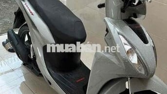 Vison xám ximang