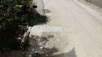 CHO THUÊ NHÀ NGUYÊN CĂN MÁT MẺ