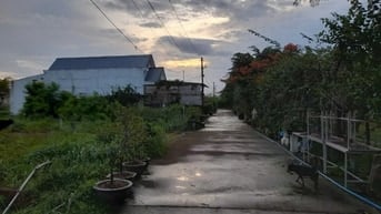 Bán đất Gia Cát 1 tại xã Long Tân cũ (nay là xã Đất Đỏ, TP.HCM)