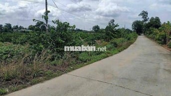 7190m Đất Vườn MT Đan Liên Ấp 5-6 Xã Bình Đức