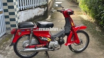 Cub82