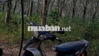 Jupiter đời208 xe đang chạy kẹt tiền bán