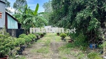 Cho thuê đất trống từ 1.000m2 kinh doanh mọi ngành nghề Linh Xuân TĐ