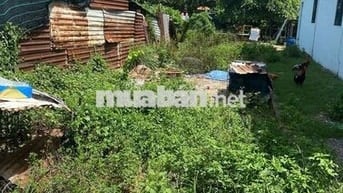 BÁN ĐẤT 122M2, 700TR, TÂN THẠNH ĐÔNG NHANH TRONG THÁNG