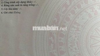 SIÊU HOT-KHU DÂN CƯ ĐẤT LÀNH NHA TRANG- ÔNG ANH NHỜ BÁN